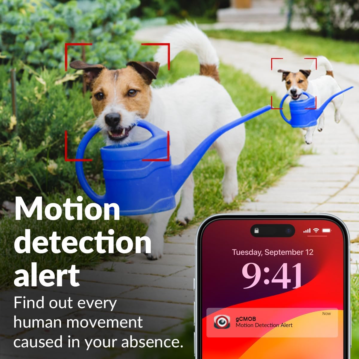 Dog with a blue watering can, motion detection alert text, and smartphone app interface.

