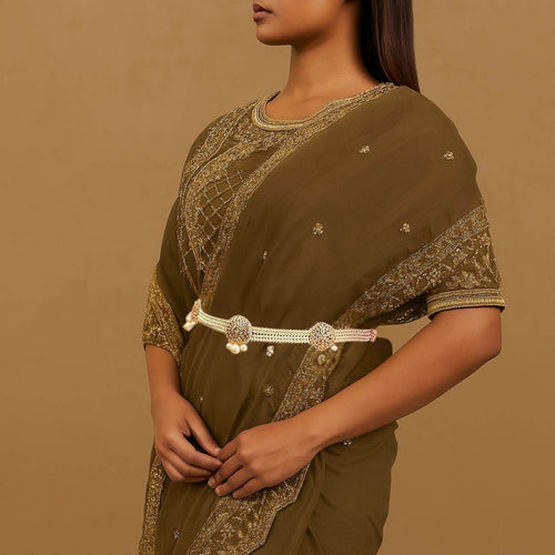 Woman wearing a brown saree with gold embroidery on a beige background

